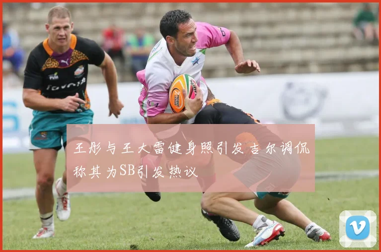 王彤与王大雷健身照引发吉尔调侃称其为SB引发热议